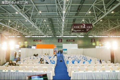 2021深圳電商展 引領數字化新潮流，彰顯會展服務新高度